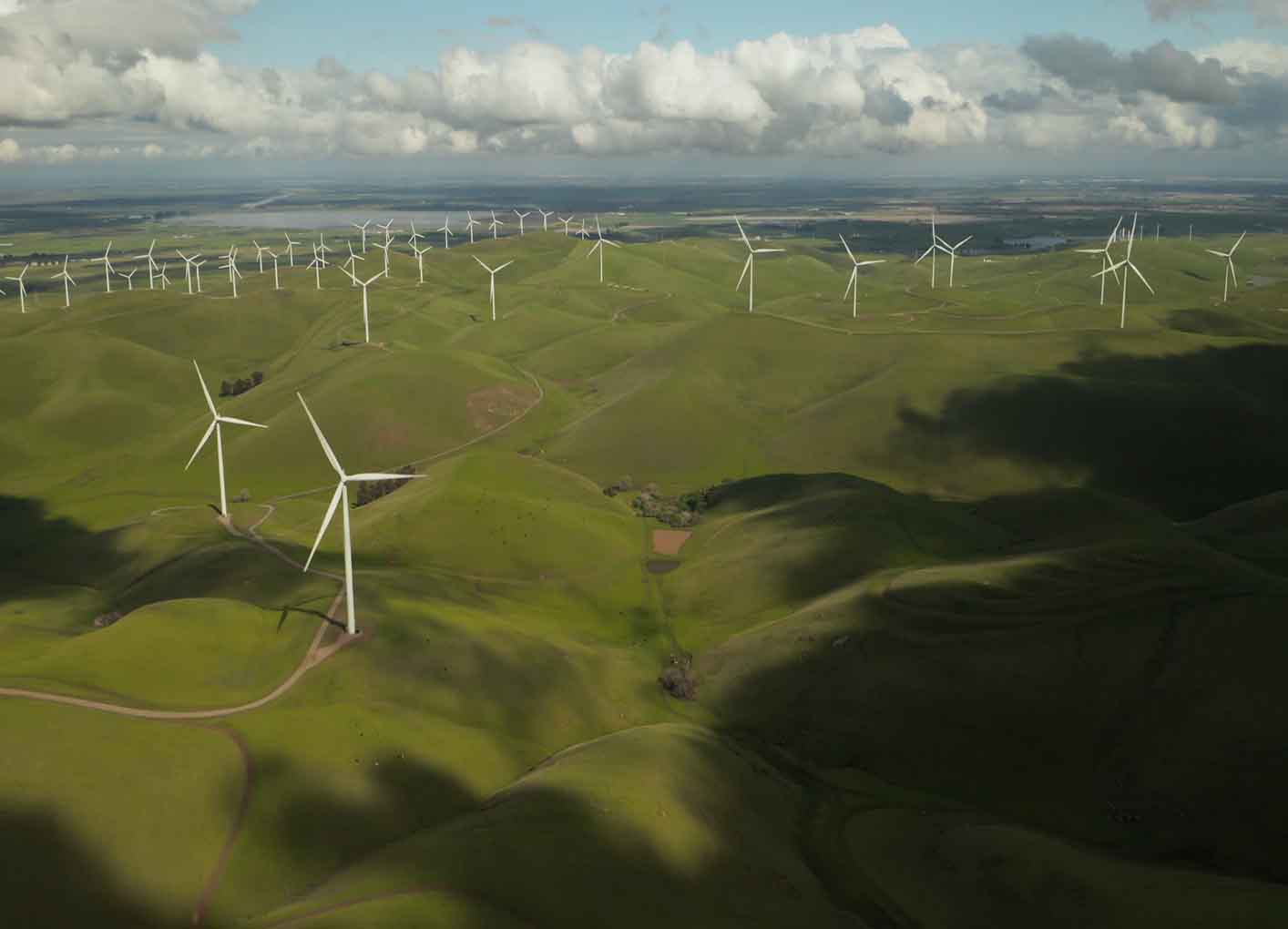4 Ways To Make AI Greener And More Sustainable